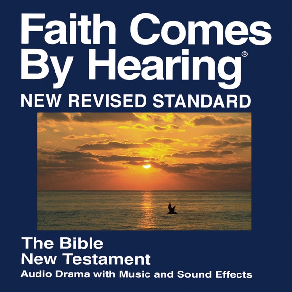 NRS New Testament - New Revised Standard Bible