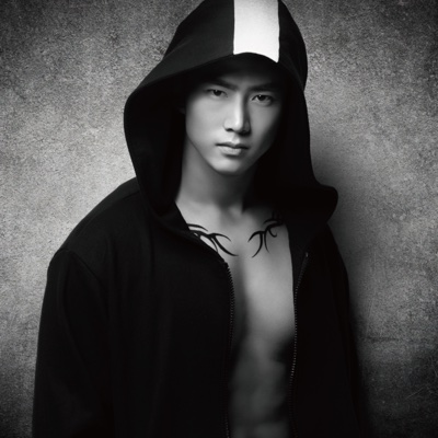 君だけじゃない - TAECYEON (From 2PM)