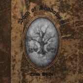 Zakk Wylde - Book of Shadows II  artwork