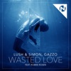 Wasted Love (feat. Robbie Rosen)