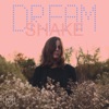 Dream Shake - Single