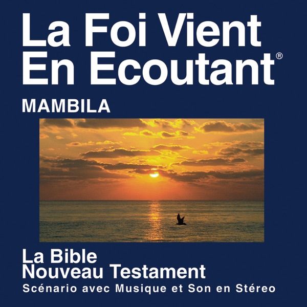 Mambila for Cameroon Bible