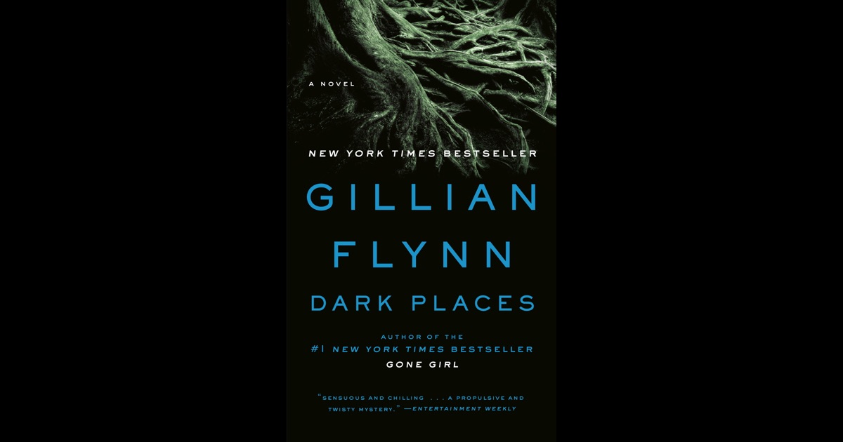 dark places gillian flynn book