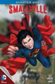 Bryan Q. Miller & Pere Pérez - Smallville Season 11 #1 artwork
