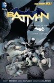 Scott Snyder & Greg Capullo - Batman: The Court of Owls (Batman 75 Edition) artwork