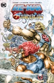 Rob David, Lloyd Goldfine & Freddy Williams II - He-Man/Thundercats artwork