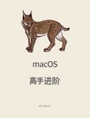 Buick Wong - macOS 高手进阶 アートワーク