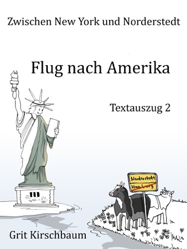 Zwischen New York und Norderstedt - Flug nach Amerika