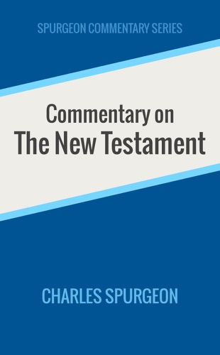 Commentary on the New Testament