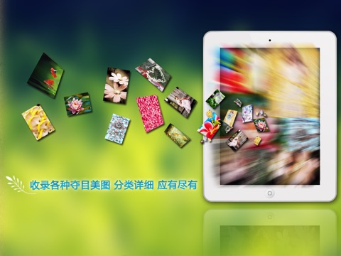 iPad 屏幕截图 2