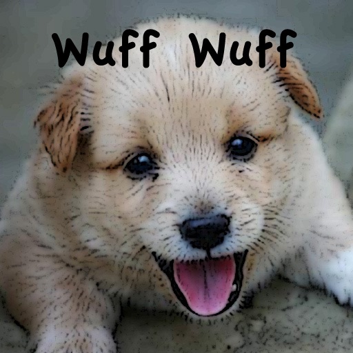 wuff wuff