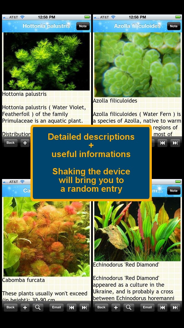 Aquarium Plants Encyc... screenshot1
