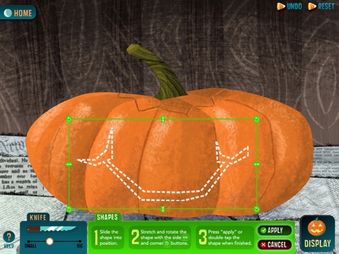 iPad Screenshot 3