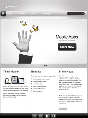 iPad Screenshot 2
