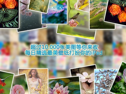 iPad 屏幕截图 4