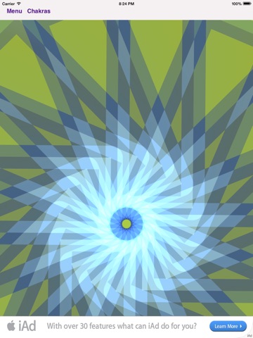 iPad Screenshot 3