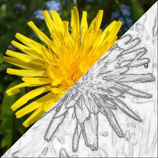 Sketch Camera PRO App Icon