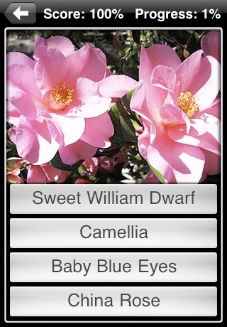 iPhone Screenshot 1