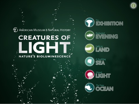 Creatures of Light Screenshot