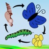 A Life Cycle App (AppStore Link)