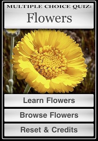 iPhone Screenshot 2