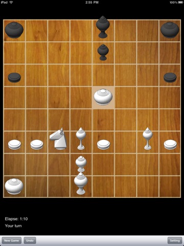 iPad Screenshot 1