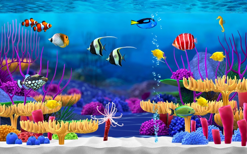 best aquarium screensaver android