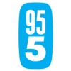 Schiesser 95/5