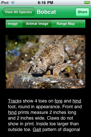 iPhone Screenshot 1