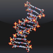app image