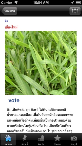 iPhone Screenshot 3