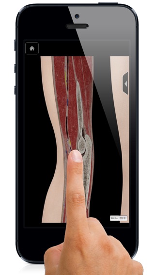 iPhone Screenshot 1