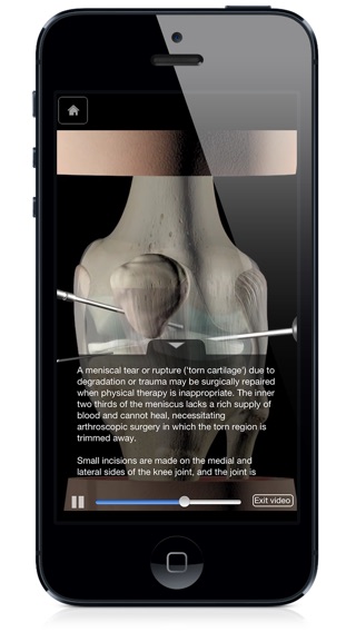 iPhone Screenshot 5