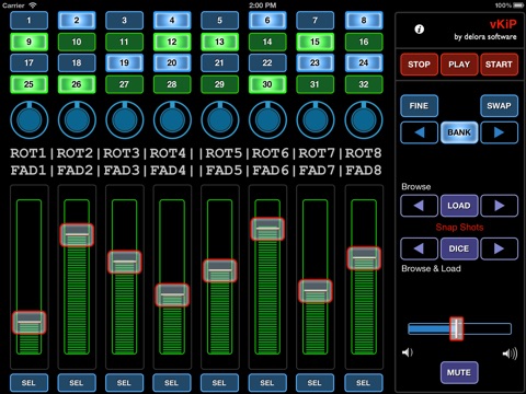 iPad Screenshot 1
