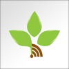 New Life FM