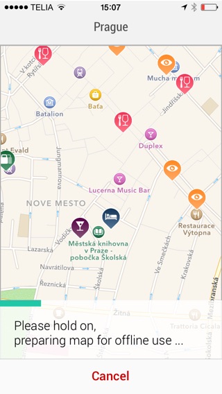 iPhone Screenshot 5
