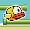 Rolly Bird - The Bird That Can't Fly