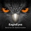 EagleEyes-plus