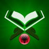 Kur'ani në Shqip csv to ani converter