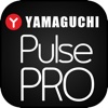 Yamaguchi Pulse PRO yamaguchi gumi poster 