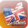 Slang Urban Dictionary urban dictionary 