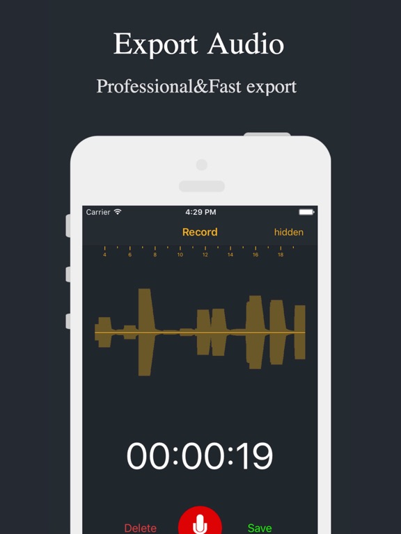 Screenshots of Audio Recorder - Voice Recorder for iPad