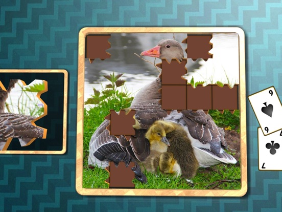 Jigsaw Solitaire Baby Animals screenshot 9