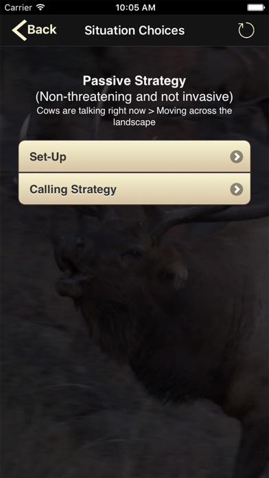 iPhone Screenshot 2