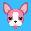 Animated Valentine's Day Boston Terrier