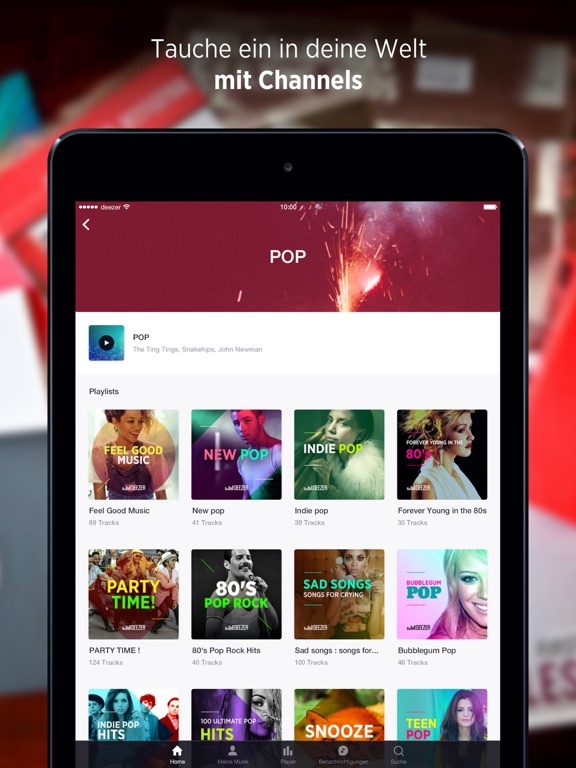 iPad Screenshot 5
