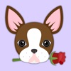 Chocolate Boston Terrier Stickers for iMessage