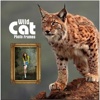 Wild Cat Photo Frames Free Online Selfie Editor HD bike frames online 