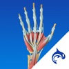 Hand Decide - Education & Engagement