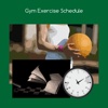 Gym exercise schedule workout schedule 